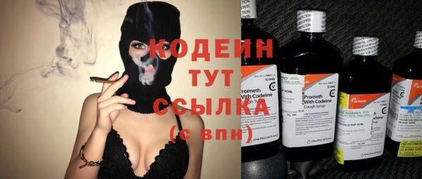 дмт Нязепетровск