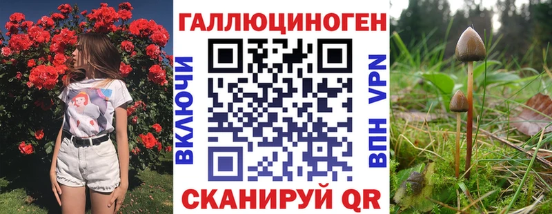 Галлюциногенные грибы Psilocybine cubensis  что такое   Чулым 
